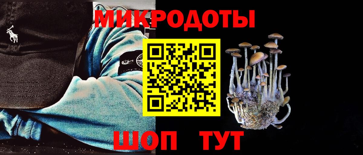 Тулун  Галлюциногенные грибы Cubensis  Вход с VPN 
