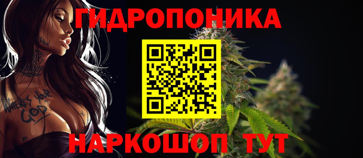 Каннабис сатива Тулун
